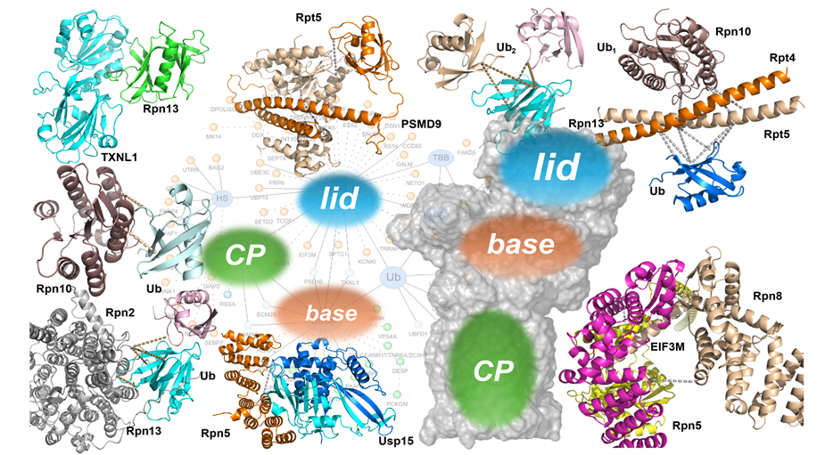 20251202448204.png 111111图片1.png